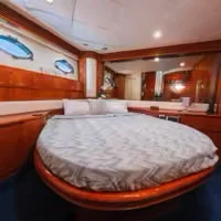 Alquiler de Princess V65